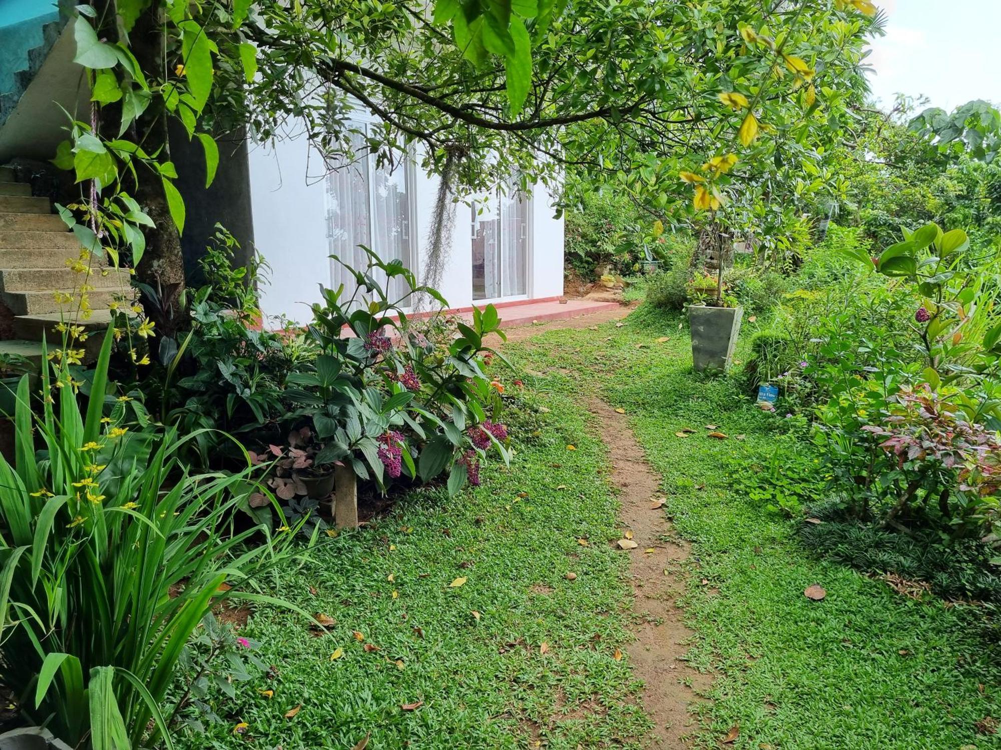 Hotel Squirrel'S Nest Kandy Exterior foto